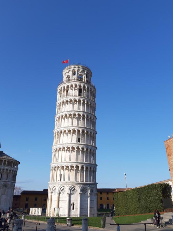 Devid Pisa